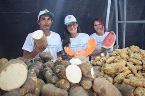Limoeiro de Anadia recebe Feira Agrária do Crédito Fundiário