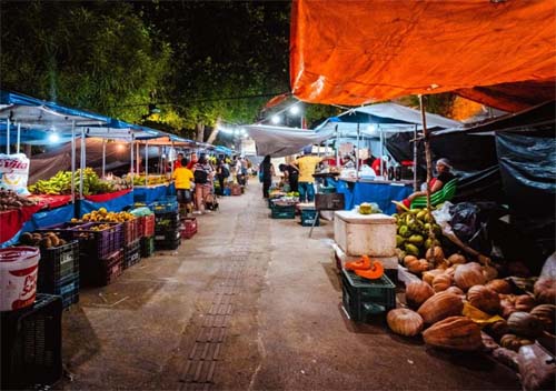 Feira Sustentável “Sabor do Campo” celebra o mês da Consciência Negra com produtos orgânicos e cultura africana.
