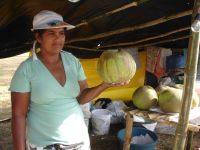 Alagoas