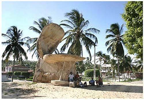 Corpos são encontrados enterrados em cova rasa na zona rural de Feliz Deserto