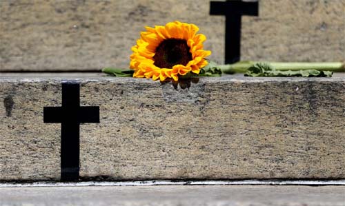  CNJ registra aumento expressivo nos julgamentos de feminicídio e concessão de medidas protetivas