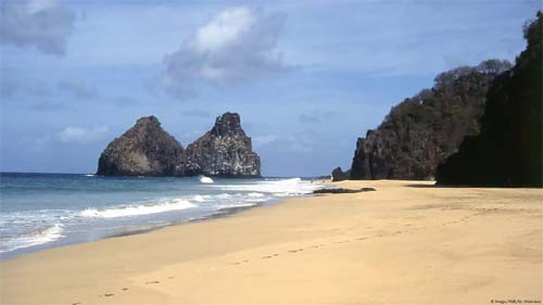 Outra disputa por petróleo na Margem Equatorial gera alerta ambiental perto de Fernando de Noronha