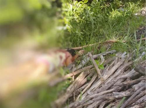 Mulher é assassinada a facadas após discussão sobre separação em Penedo