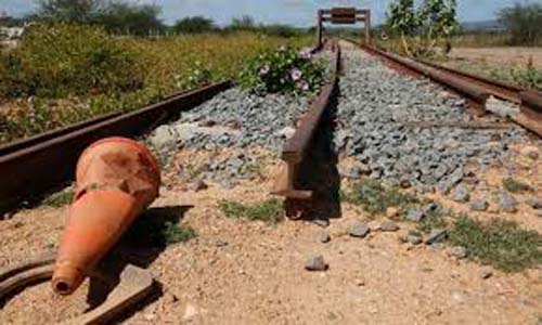 Concessionária espera retomar em 2019 obras da Transnordestina