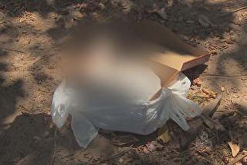 Feto humano é encontrado em caixa de sapato na Pitanguinha