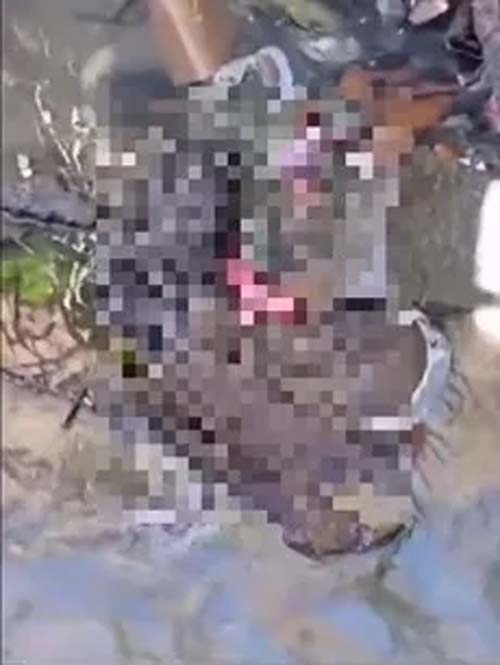 Populares encontram feto humano dentro de esgoto em Maceió