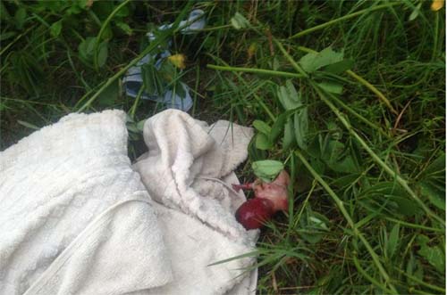 Feto é jogado em terreno baldio na Praia do Francês em Marechal Deodoro 