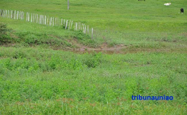Selvageria em União: feto de 4 meses é estrangulado e abandonado na margem do Riacho 'Sueca'