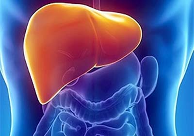 Fígado ainda é acusado, injustamente, de causar ressaca