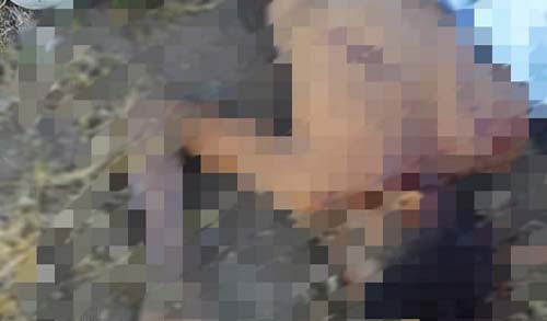 Pai mata o próprio filho a pauladas em Girau do Ponciano