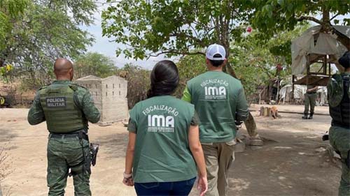 Fiscalização Ambiental Resgata Quase 500 Animais Silvestres na Bacia do Rio São Francisco em Ação Integrada