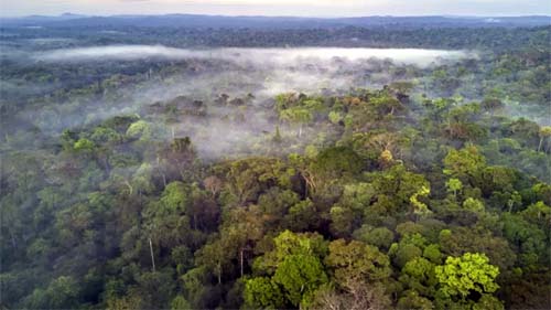 As medidas para evitar que El Niño provoque 'hecatombe' na Amazônia