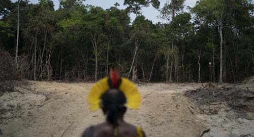 2019 foi o ano do meio ambiente?