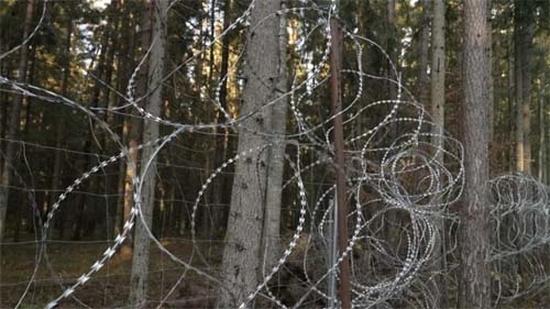 A floresta onde centenas de imigrantes arriscam a vida para entrar na Europa