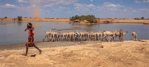Cortes de financiamento agravam crise de fome na Etiópia