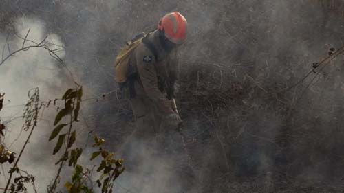 Força Nacional combaterá incêndios florestais e queimadas no Amazonas