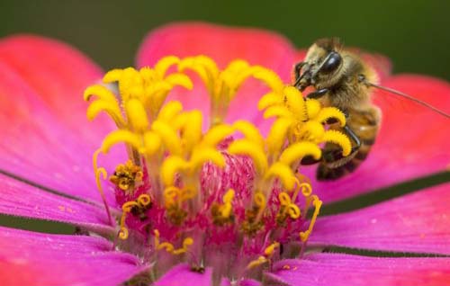 IMA/AL abre inscrições para o IV Concurso de Fotografia Ambiental