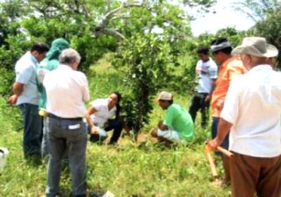 Técnicos orientam agricultores sobre elaboração de biofertilizantes para laranja lima 