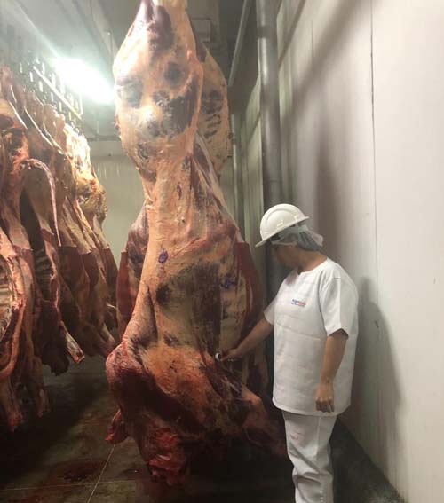 FrigoVale renova SIE e reforça compromisso de fornecer de carne de qualidade