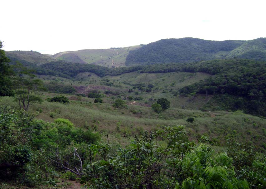 União dos Palmares