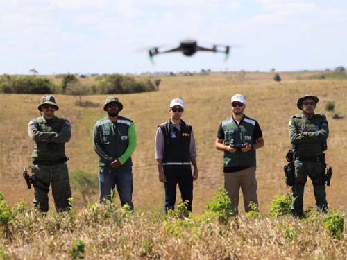 FPI flagra área desmatada equivalente a mais de 200 campos de futebol