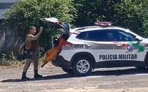 Detento foge durante audiência e é captura na sequência em São Ludgero