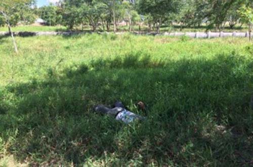 Jovem desaparecido é encontrado morto no Bosque das Arapiracas, no Centro da cidade de Arapiraca