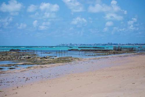 Corpo de mergulhador é encontrado na Praia de Garça Torta, em Alagoas