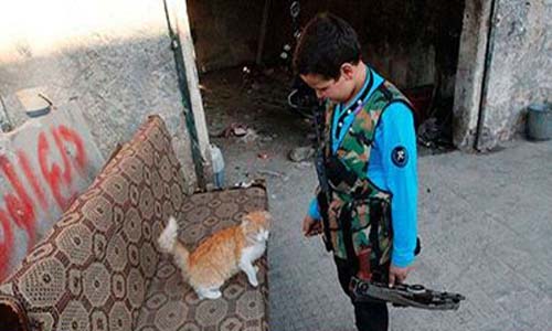 Contra fome, religiosos liberam consumo de gatos, cachorros e burros na Síria