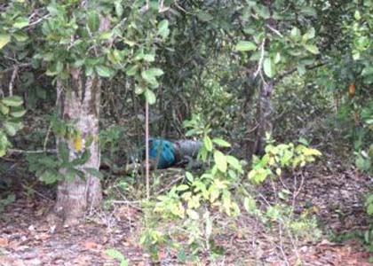 Familiares encontram corpo em matagal em Penedo 