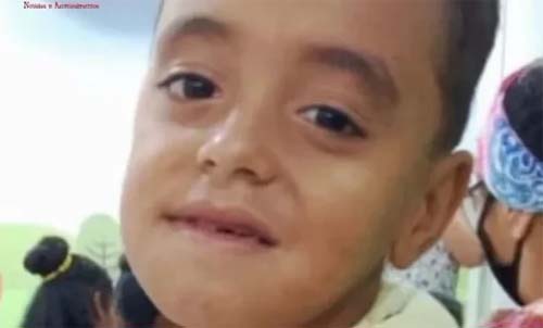 Menino de 7 anos morre após levar coice de cavalo em zona rural de Batalha, Alagoas