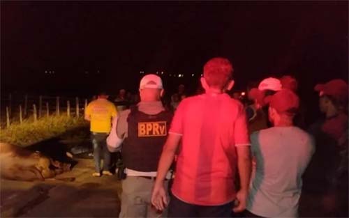 Animal solto na pista provoca colisão e deixa dois mortos na AL-487, em Girau do Ponciano