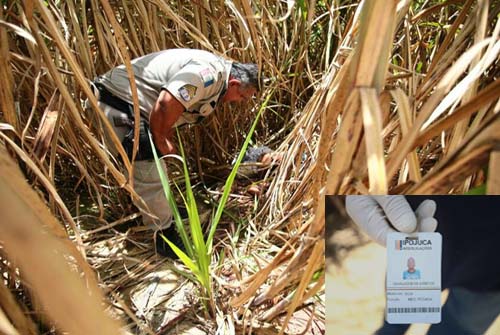 Corpo de homem é encontrado em canavial na cidade de Messias, AL
