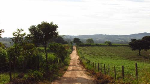 Goiás: 400 famílias ficam  desabrigadas após chuvas