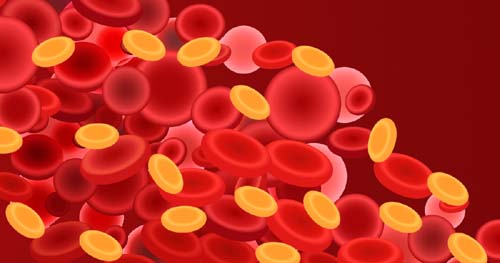 Método traça perfil mais detalhado dos tipos de gordura presentes no sangue