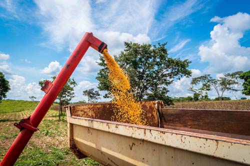 Após recuo da Fiesp, agronegócio publica manifesto em defesa da democracia