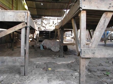 Grávida, moradora de rua é morta a facadas em Mercado Público