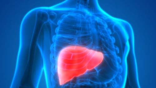Hepatite: tudo o que você precisa saber sobre os diferentes tipos da doença, que pode levar à morte
