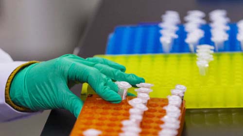 Estudo: vírus da hepatite B já circula há milênios entre os humanos