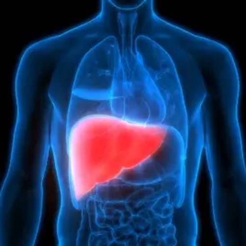 Alagoas tem um caso suspeito de hepatite de causa desconhecida