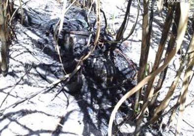 Homem é encontrado carbonizado no município de Girau do Ponciano