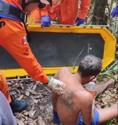 Desaparecido há 11 dias, homem é localizado em mata após gritos de socorro