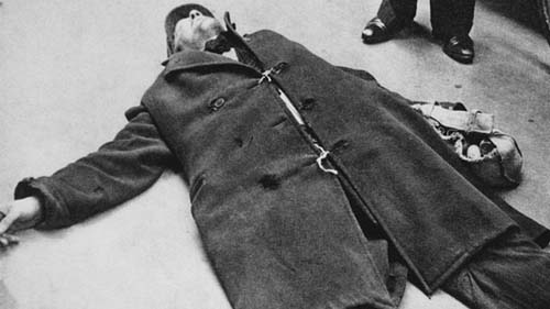 Como fome vivida no útero e na infância prejudica o corpo por décadas