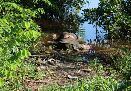 Homem é encontrado morto na praia de Barra Grande em Maragogi