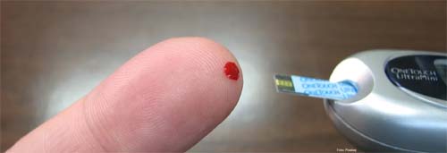 Hormônio adiponectina reverte dano provocado por obesidade em células do pâncreas