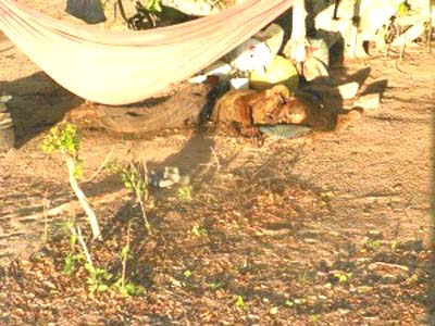 Mistério: morador de rua é encontrado morto na zona rural de Pariconha 