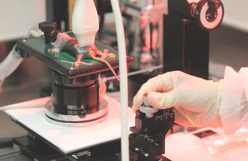 Hospital para ratos é esperança para homens com câncer de próstata