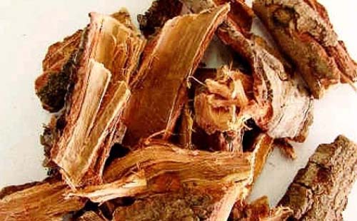 Vacina contra o HPV: o caminho para a prevenção do colo do útero