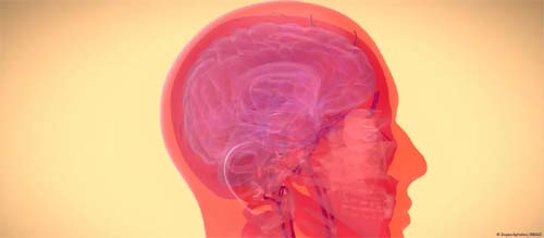 Sete Desejos Científicos para 2025: Inovações que Podem Transformar o Futuro