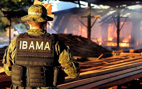 Concurso Ibama pode oferecer 1.888 vagas e salários podem chegar a R$ 7,7 mil. Não tem vagas para Alagoas